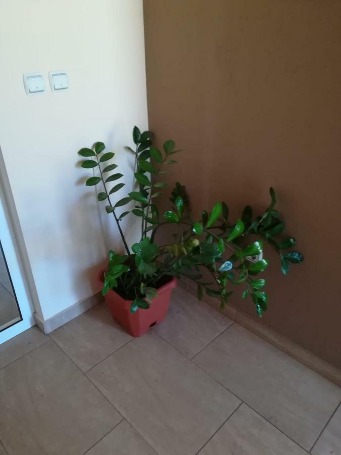 Laura Apartment Bibinje Luaran gambar