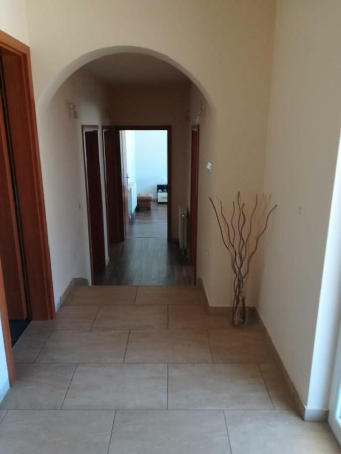 Laura Apartment Bibinje Luaran gambar